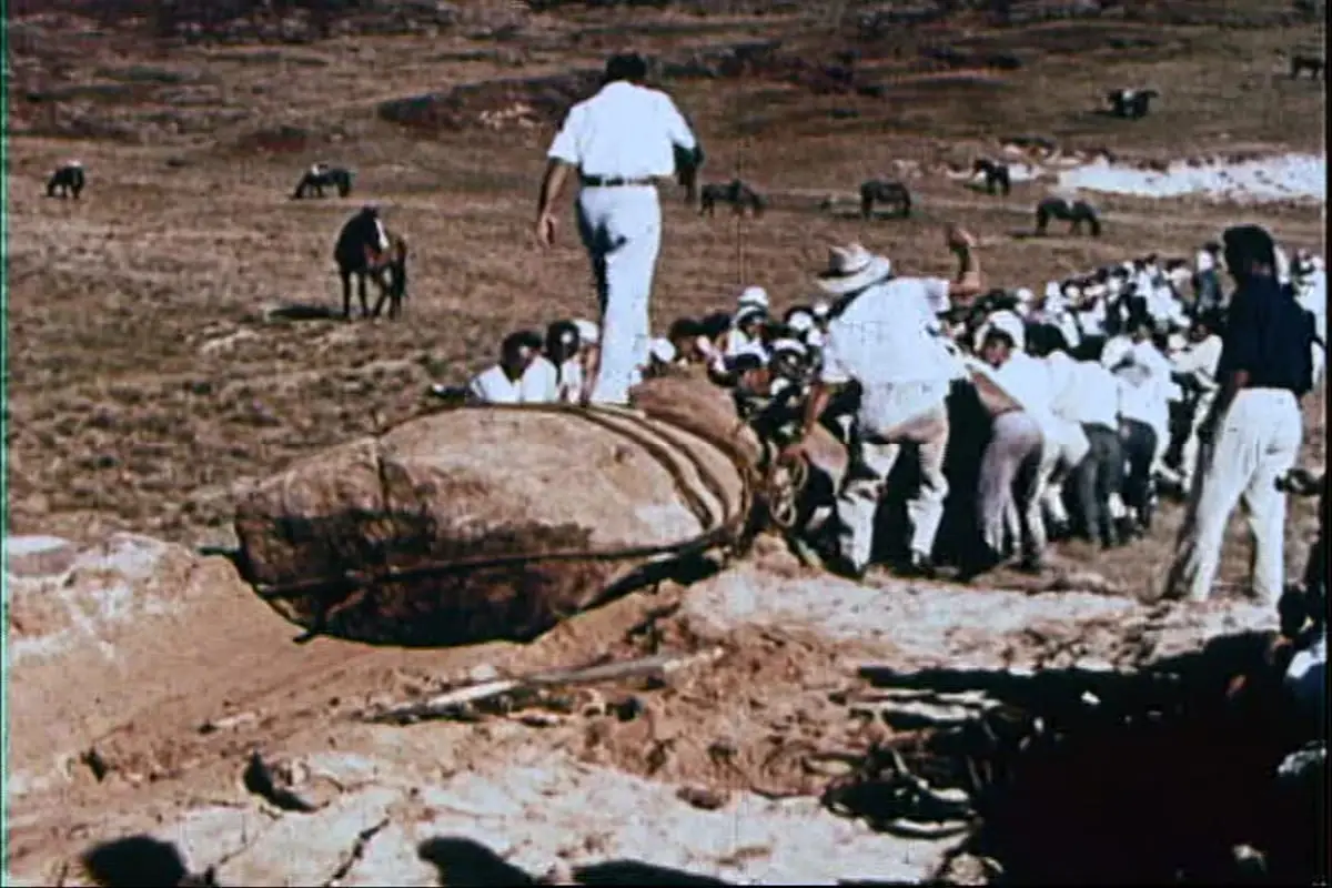 Equipo de personas moviendo una estatua moai en la Isla de Pascua.